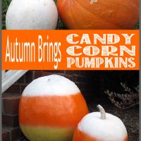 Love candy corn? Spice up your pumpkins with some spray paint for a cute look this fall.