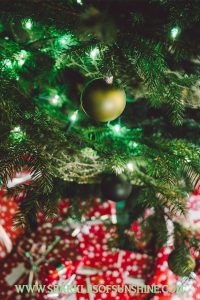 Don't let yourself get stressed this holiday season. Slow down and take time to enjoy the holidays!
