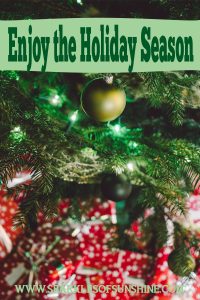 Don't let yourself get stressed this holiday season. Slow down and take time to enjoy the holidays!
