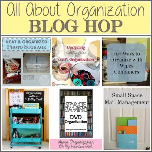 All About Organization Blog Hop