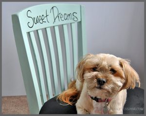 Have an old chair seeking a new purpose? Check out this easy Upcycled DIY Pet Bed at Sparkles of Sunshine!