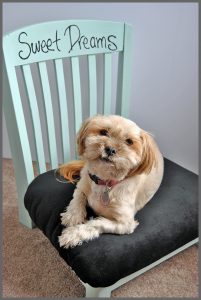 Have an old chair seeking a new purpose? Check out this easy Upcycled DIY Pet Bed at Sparkles of Sunshine!