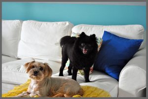 Over nine months later, find out why I LOVE my IKEA white furniture slipcovers!