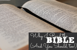 Do you know how important it is to read your Bible? Check out why I read the Bible, and why you should, too!
