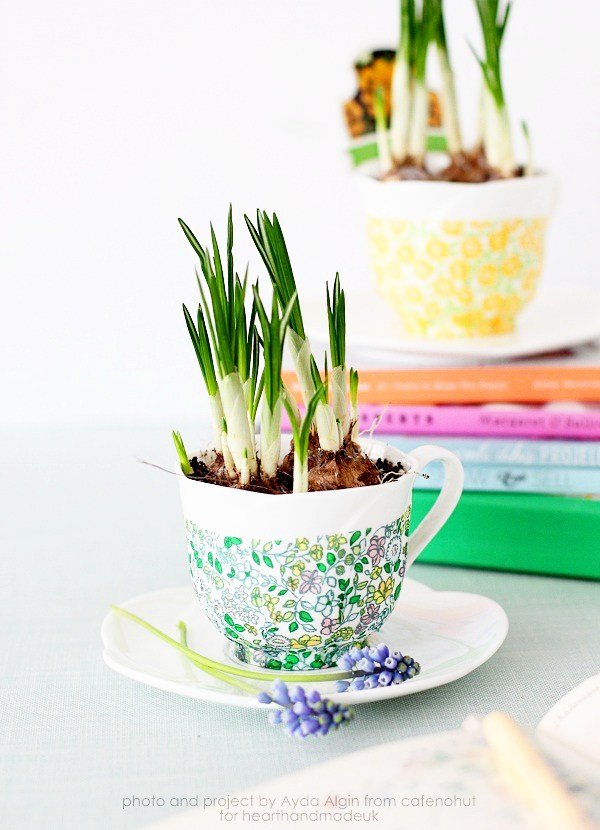 decoupage-tea-cup-planters