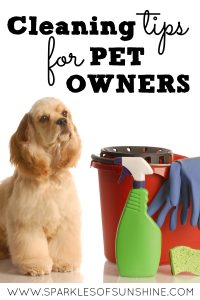 Just because you have pets doesn't mean you can't have a clean home. Check out these cleaning tips for pet owners.