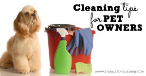 Just because you have pets doesn't mean you can't have a clean home. Check out these cleaning tips for pet owners.