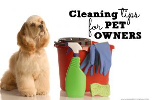 Just because you have pets doesn't mean you can't have a clean home. Check out these cleaning tips for pet owners.
