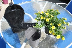 Add a little spring to your step by transforming an old boot into a colorful cowboy boot planter.