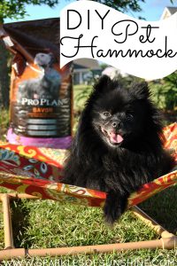 Celebrate summer outdoors with your pet thanks to this easy tutorial for a DIY pet hammock over at Sparkles of Sunshine.