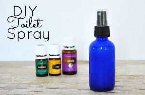 Keep your bathroom fresh with this DIY toilet spray. Spray it before you go to prevent lingering odors.