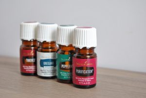 Which essential oils do you need in your stash for cold and flu season this year? Find out which essential oils to support your immune system before the season starts.