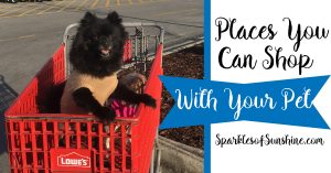 Want to take your furry friend along on shopping day? Check out this list of 7 stores that let your pet shop with you.