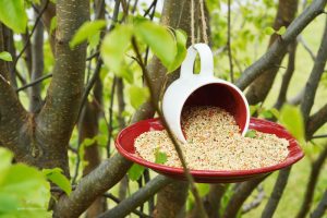 Learn how to make an upcycled coffee mug bird feeder, perfect for spring or any time of year!