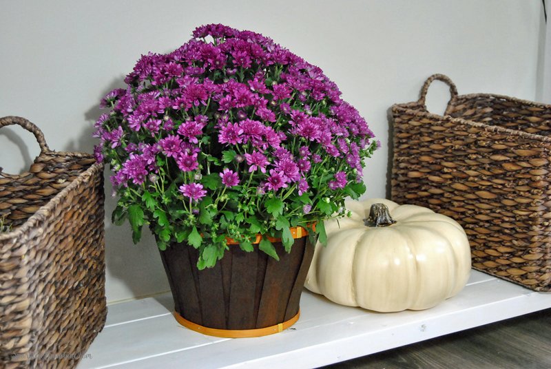 It may be easier than you think to add fall touches to your home. Check out these 7 simple ways to spruce up your home for fall.