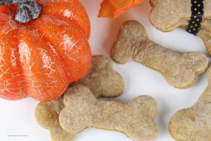 Reward your furry friend this fall with a homemade treat. Get this Pumpkin Banana Dog Treat Recipe at Sparkles of Sunshine today.