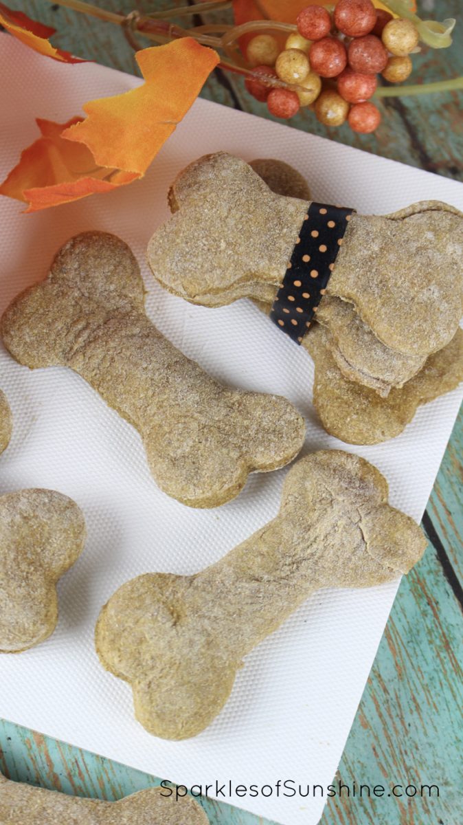 Reward your furry friend this fall with a homemade treat. Get this Pumpkin Banana Dog Treat Recipe at Sparkles of Sunshine today.