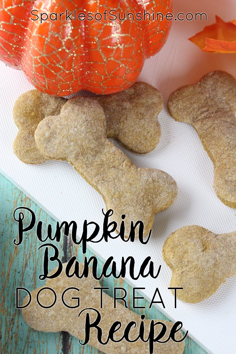 Reward your furry friend this fall with a homemade treat. Get this Pumpkin Banana Dog Treat Recipe at Sparkles of Sunshine today.