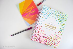 Want to accomplish more next year? Want to focus on what really matters? Find out more about the ultimate goal planner at Sparkles of Sunshine today.