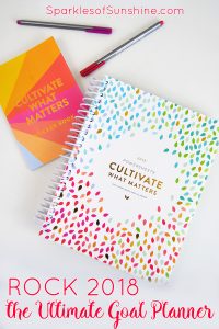 Want to accomplish more next year? Want to focus on what really matters? Find out more about the ultimate goal planner at Sparkles of Sunshine today.