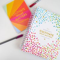 Want to accomplish more next year? Want to focus on what really matters? Find out more about the ultimate goal planner at Sparkles of Sunshine today.