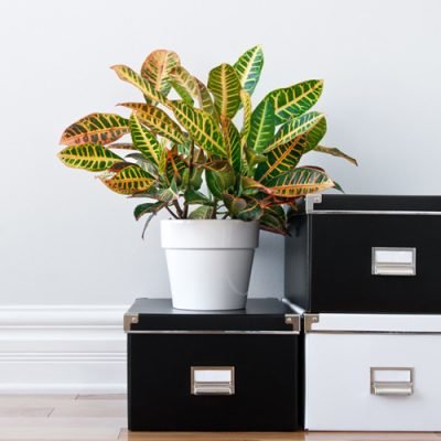 Top Organizing Hacks for People Who Don’t Know How