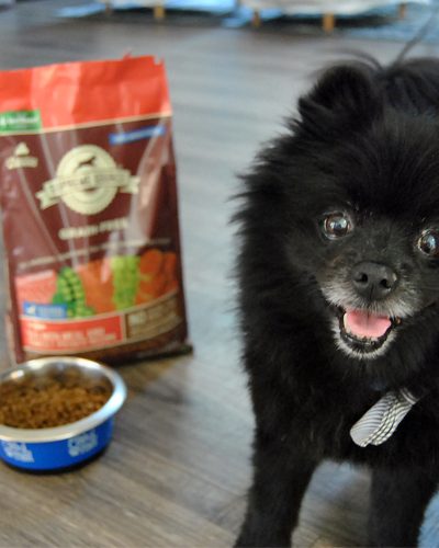 Would you like to improve your pet’s body, mind & soul this spring? Learn more about the 10-Day Detox with Supreme Source Pet. Sign up and get your coupon to get started today!